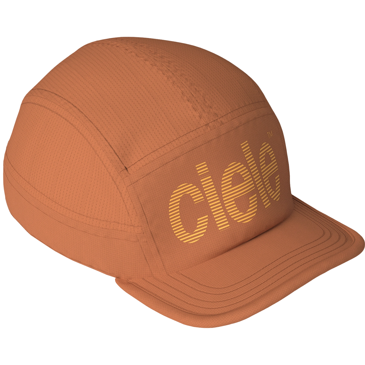 ALZCap SC - Standard Stripes