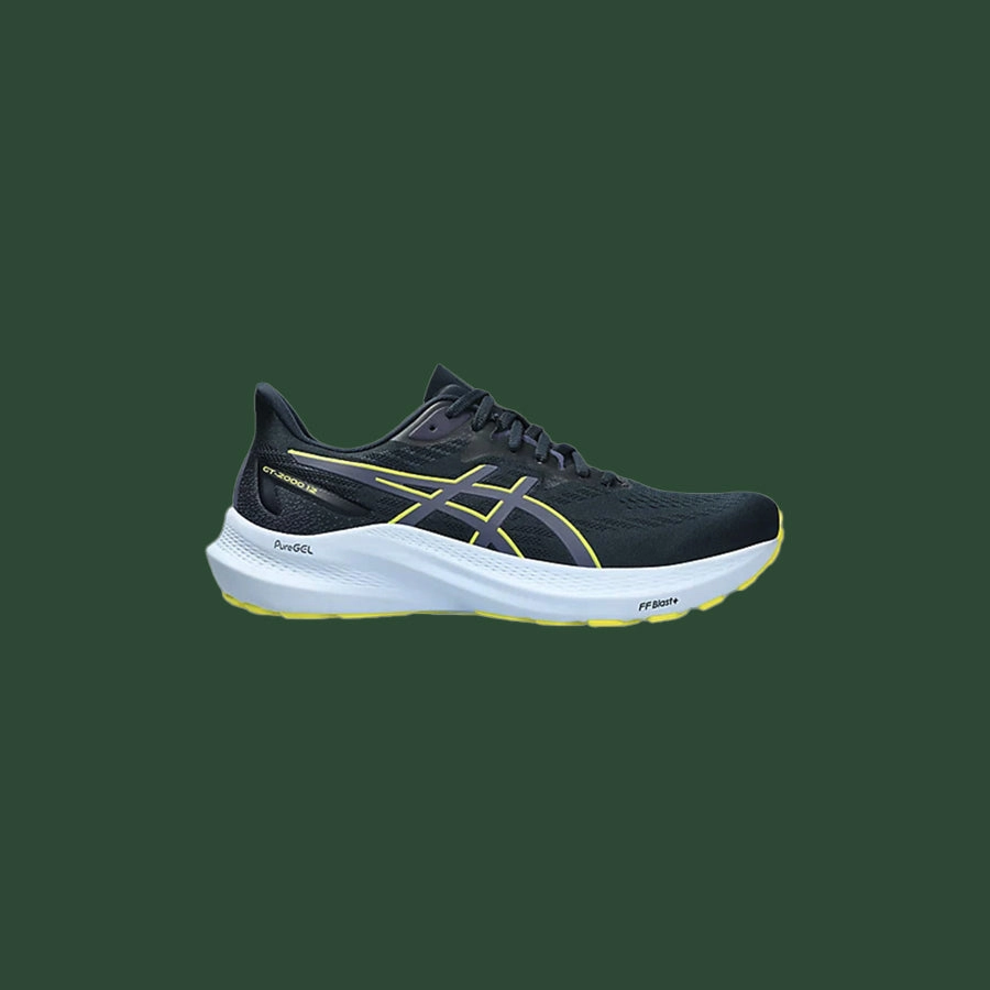 Men's Asics GT-2000 v12 Wide 2E