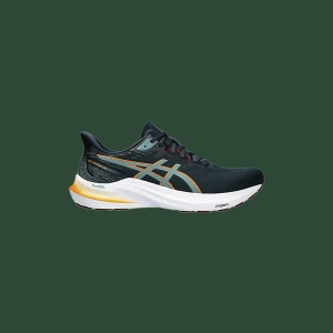 Men's Asics GT-2000v12